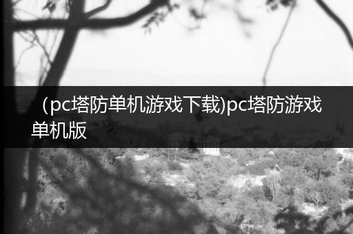 （pc塔防单机游戏下载)pc塔防游戏单机版