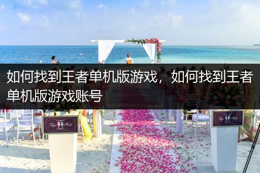 如何找到王者单机版游戏，如何找到王者单机版游戏账号