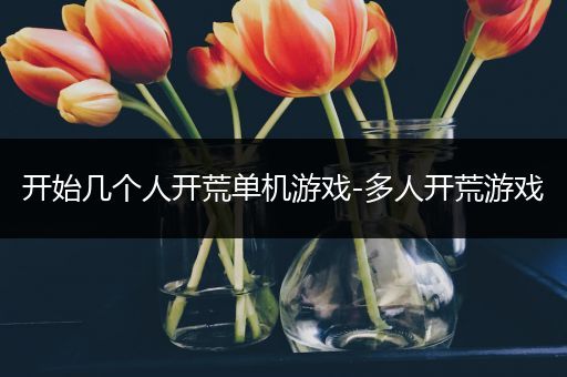 开始几个人开荒单机游戏-多人开荒游戏