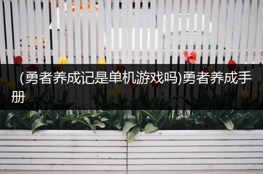 （勇者养成记是单机游戏吗)勇者养成手册