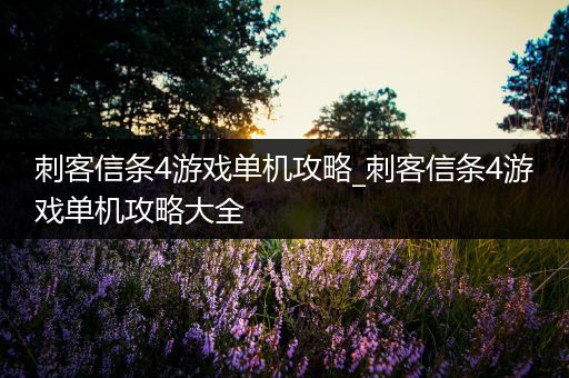 刺客信条4游戏单机攻略_刺客信条4游戏单机攻略大全