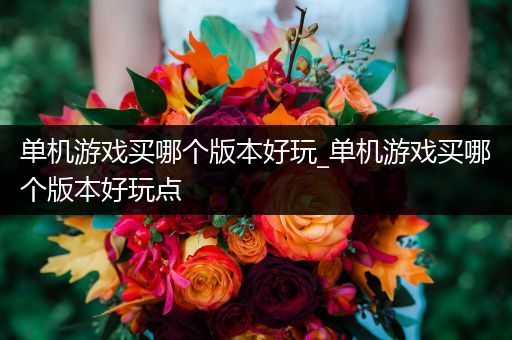单机游戏买哪个版本好玩_单机游戏买哪个版本好玩点