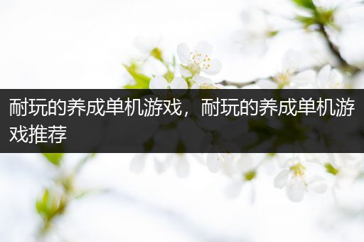 耐玩的养成单机游戏，耐玩的养成单机游戏推荐