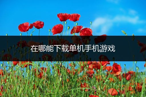 在哪能下载单机手机游戏