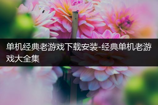 单机经典老游戏下载安装-经典单机老游戏大全集