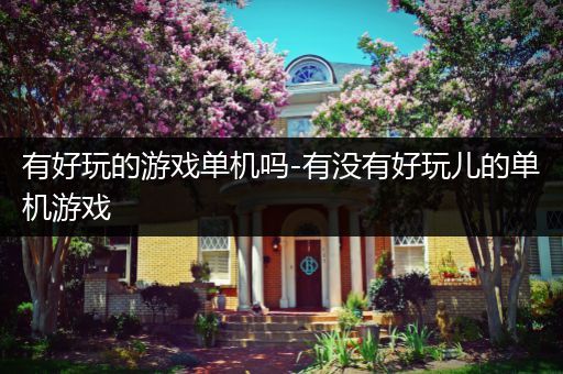 有好玩的游戏单机吗-有没有好玩儿的单机游戏
