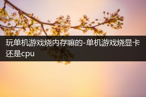 玩单机游戏烧内存嘛的-单机游戏烧显卡还是cpu