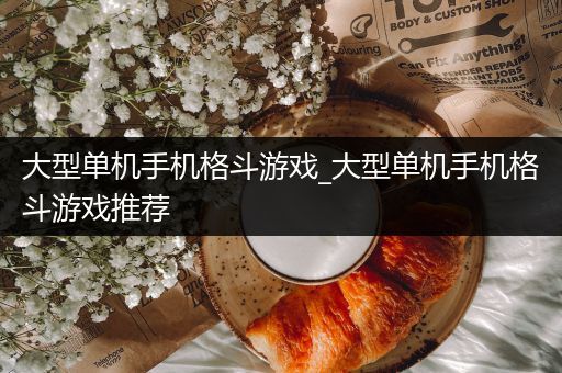 大型单机手机格斗游戏_大型单机手机格斗游戏推荐