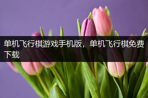 单机飞行棋游戏手机版，单机飞行棋免费下载