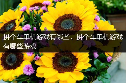 拼个车单机游戏有哪些，拼个车单机游戏有哪些游戏