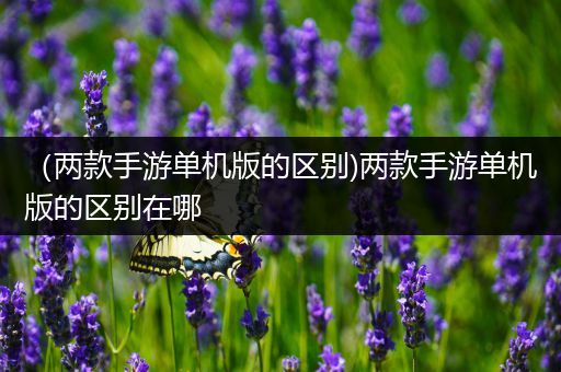 （两款手游单机版的区别)两款手游单机版的区别在哪