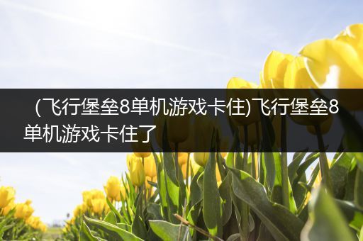 （飞行堡垒8单机游戏卡住)飞行堡垒8单机游戏卡住了