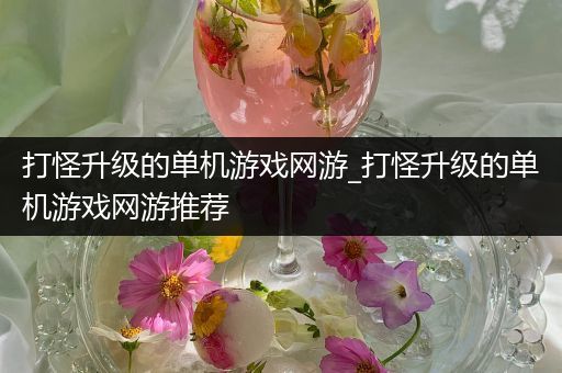 打怪升级的单机游戏网游_打怪升级的单机游戏网游推荐