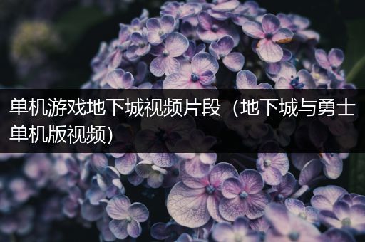 单机游戏地下城视频片段（地下城与勇士单机版视频）