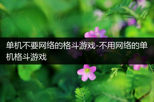 单机不要网络的格斗游戏-不用网络的单机格斗游戏