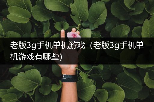 老版3g手机单机游戏（老版3g手机单机游戏有哪些）