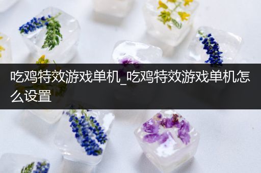 吃鸡特效游戏单机_吃鸡特效游戏单机怎么设置
