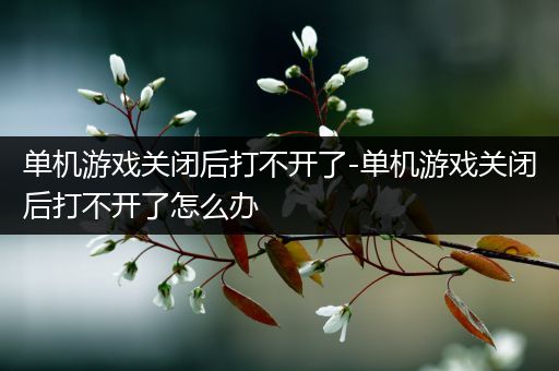 单机游戏关闭后打不开了-单机游戏关闭后打不开了怎么办