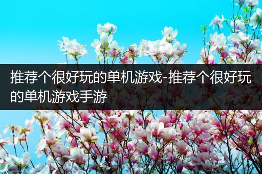 推荐个很好玩的单机游戏-推荐个很好玩的单机游戏手游