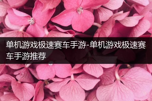 单机游戏极速赛车手游-单机游戏极速赛车手游推荐