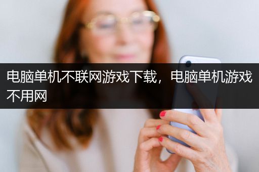 电脑单机不联网游戏下载，电脑单机游戏不用网