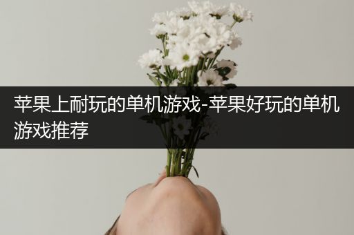 苹果上耐玩的单机游戏-苹果好玩的单机游戏推荐
