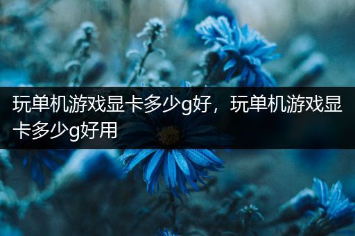 玩单机游戏显卡多少g好，玩单机游戏显卡多少g好用