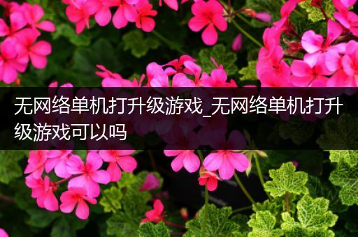 无网络单机打升级游戏_无网络单机打升级游戏可以吗