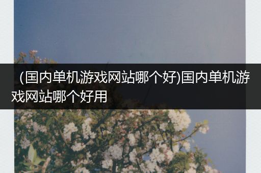 （国内单机游戏网站哪个好)国内单机游戏网站哪个好用