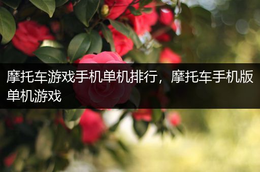 摩托车游戏手机单机排行，摩托车手机版单机游戏