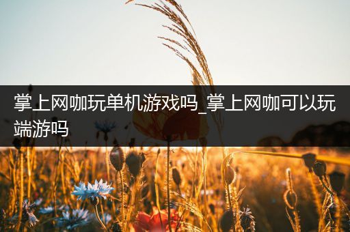 掌上网咖玩单机游戏吗_掌上网咖可以玩端游吗