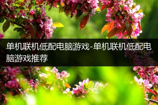 单机联机低配电脑游戏-单机联机低配电脑游戏推荐