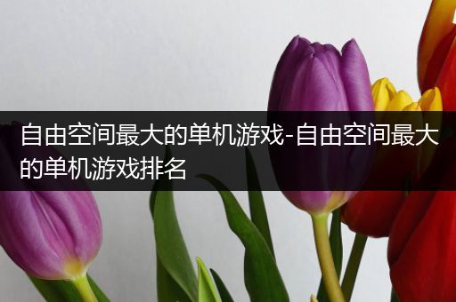 自由空间最大的单机游戏-自由空间最大的单机游戏排名