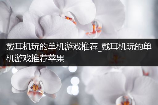 戴耳机玩的单机游戏推荐_戴耳机玩的单机游戏推荐苹果