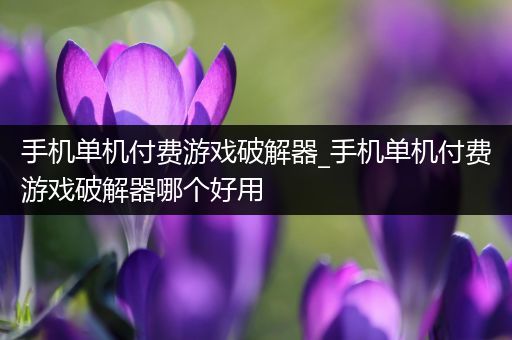 手机单机付费游戏破解器_手机单机付费游戏破解器哪个好用