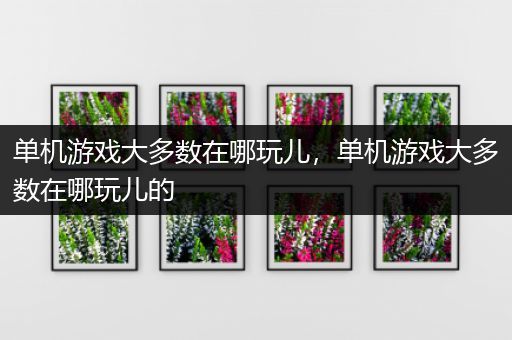 单机游戏大多数在哪玩儿，单机游戏大多数在哪玩儿的