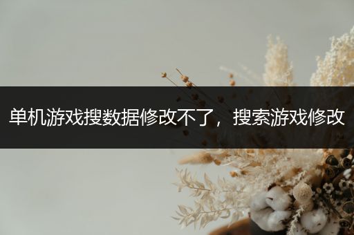单机游戏搜数据修改不了，搜索游戏修改