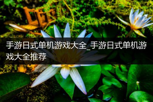 手游日式单机游戏大全_手游日式单机游戏大全推荐