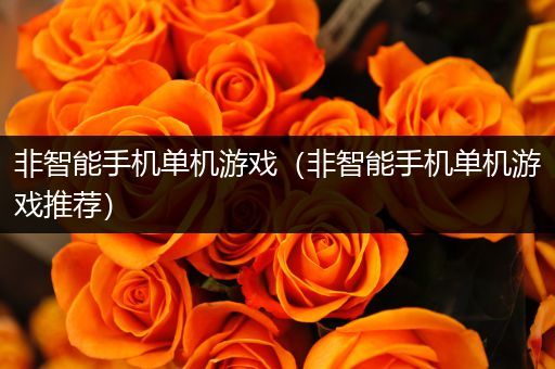 非智能手机单机游戏（非智能手机单机游戏推荐）