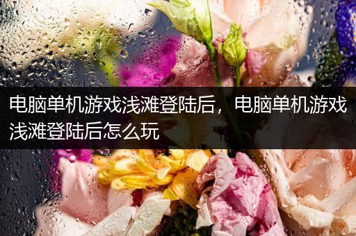电脑单机游戏浅滩登陆后，电脑单机游戏浅滩登陆后怎么玩