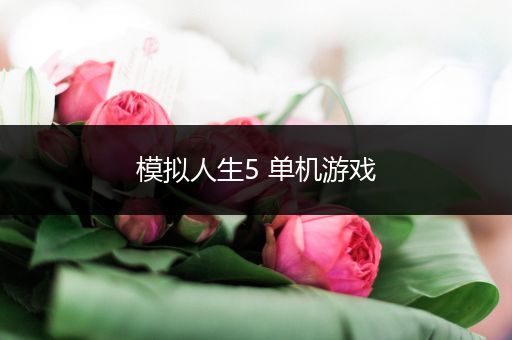 模拟人生5 单机游戏