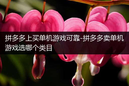 拼多多上买单机游戏可靠-拼多多卖单机游戏选哪个类目
