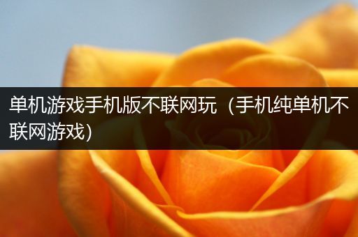 单机游戏手机版不联网玩（手机纯单机不联网游戏）
