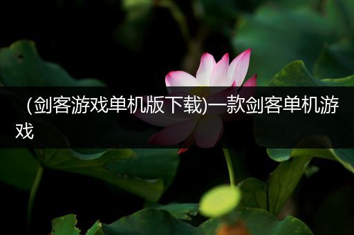 （剑客游戏单机版下载)一款剑客单机游戏