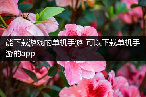 能下载游戏的单机手游_可以下载单机手游的app