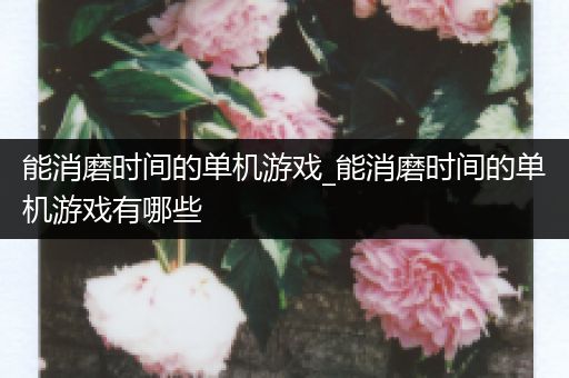 能消磨时间的单机游戏_能消磨时间的单机游戏有哪些