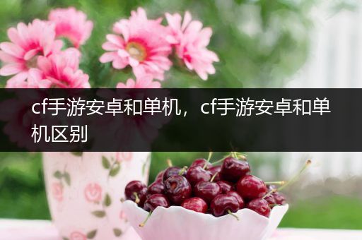 cf手游安卓和单机，cf手游安卓和单机区别