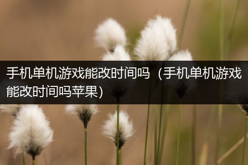 手机单机游戏能改时间吗（手机单机游戏能改时间吗苹果）