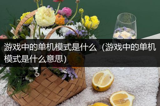 游戏中的单机模式是什么（游戏中的单机模式是什么意思）
