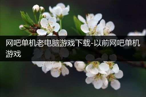 网吧单机老电脑游戏下载-以前网吧单机游戏